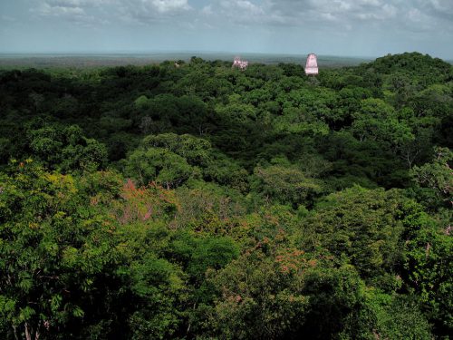 Parts of the Mayan City of Tikal can be seen poking out of the rainforest.