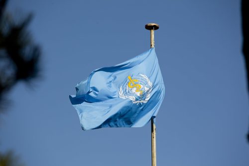 The World Health Organization Flag