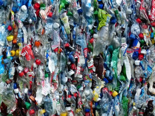 Bottles ready for recycling