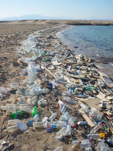 Single use plastics pollute oceans and beaches.