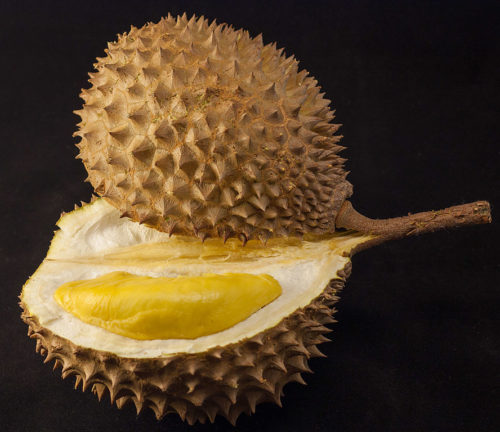 Durians have a strong smell, but some people like the way they taste.
