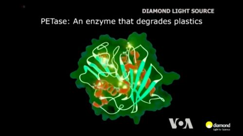 Diagram of PETase breaking down plastic