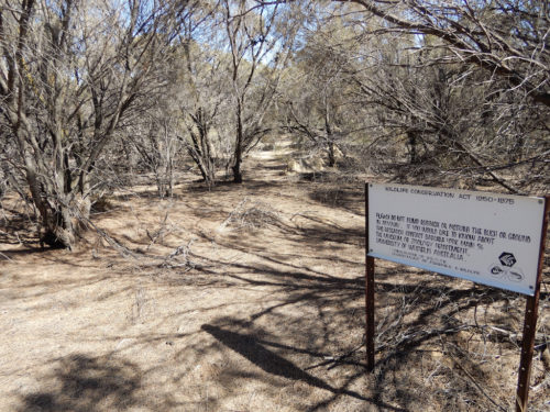 The area where Ms. Main studied trapdoor spiders for years.