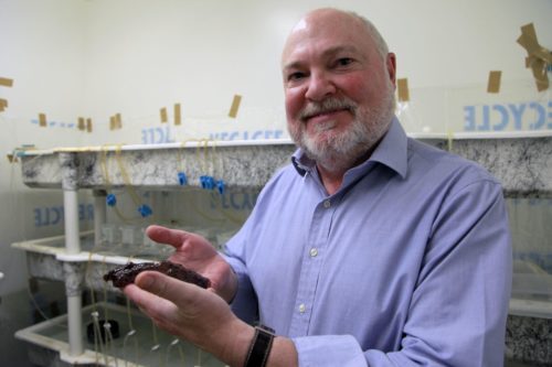 Professor David Glanzman holding a sea slug.