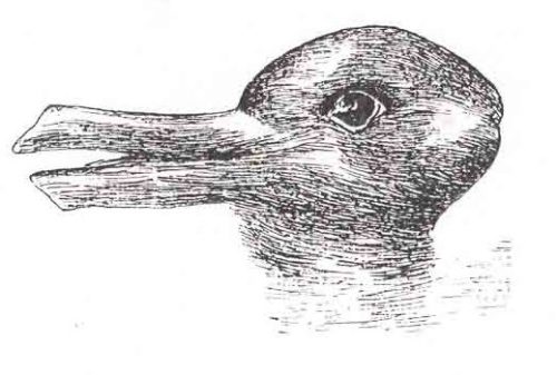 Duck-rabbit illusion.