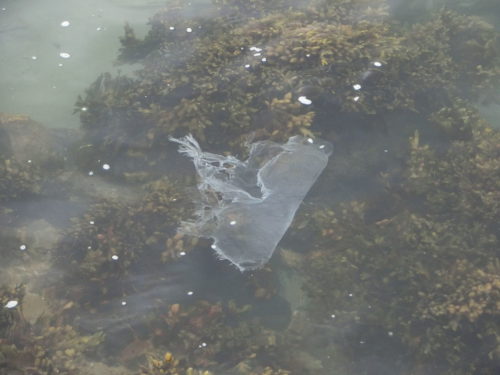 Bag floating underwater.