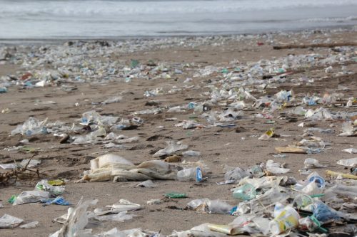 The trash from the containers is now washing up on beaches near Sydney.