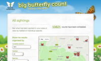 Screen shot of the results page of the Big Butterfly Count.