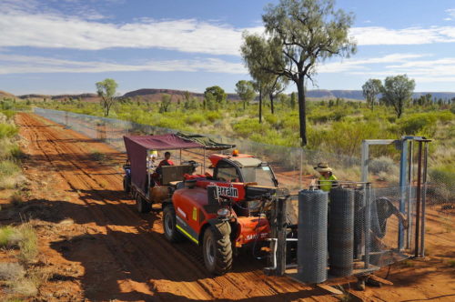 Newhaven feral predator-proof fence