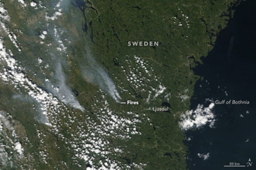 Over 50 wildfires are burning in Sweden. They can even be seen from space.