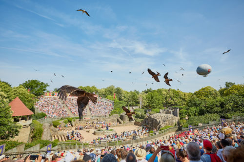 Puy du Fou bird show