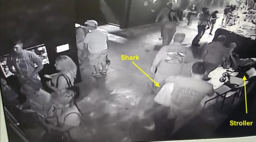Picture of men stealing shark.