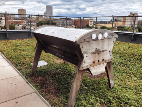 This rooftop hive in Milwaukee is used to teach new beekeepers.