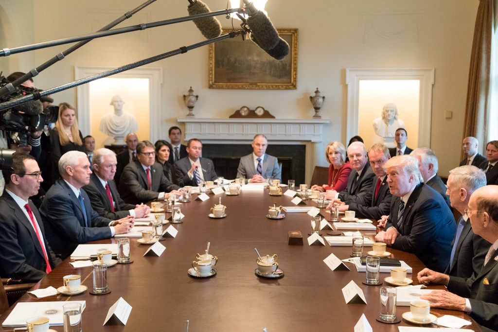 This picture shows Mr. Trump with his cabinet in 2017.