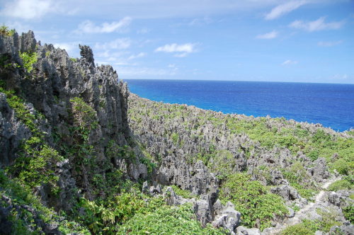 View from highlands of Niue looking down toward the ocean.