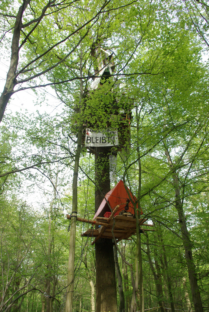 Protester's tree house in Hambach Forest.