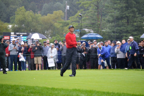 Tiger Woods at the BMW Championship at Aronimink Golf Club, 2018