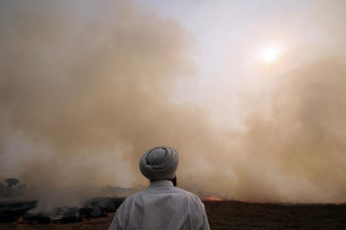 Pic by Neil Palmer (CIAT). Burning of rice residues after harvest, to quickly prepare the land for wheat planting, around Sangrur, SE Punjab, India.