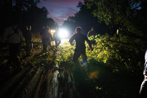 Florida National Guard working to clear trees blocking a road.