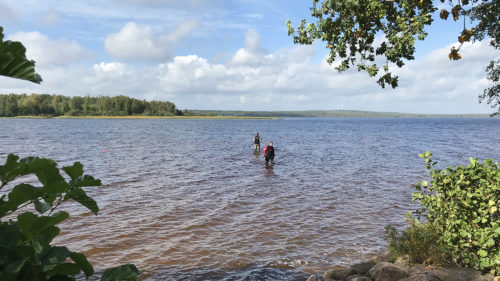 Divers from the museum searching for other artifacts in the water.