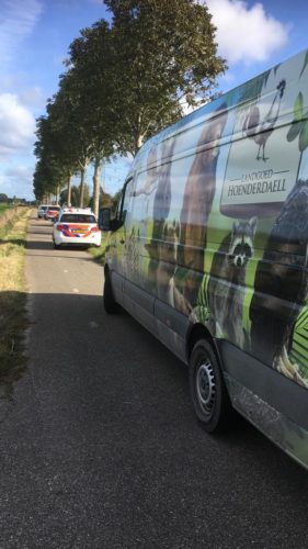 Van bearing pictures of wild animals following a police car.