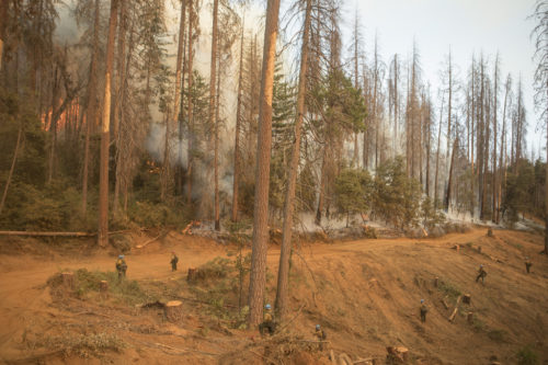 A wide shot of the favorable burn being conducted and held by the Sierra Hotshots; Ferguson Fire, Sierra NF, CA, 2018.