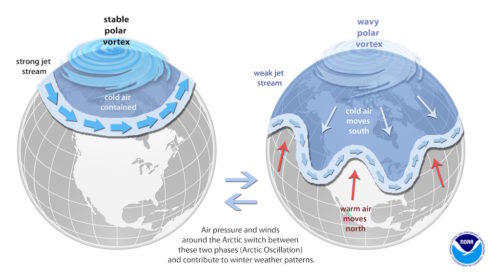 A strong polar vertex keeps the cold air near the North Pole. A weaker polar vertex allows cold air to dip down below the artic circle.