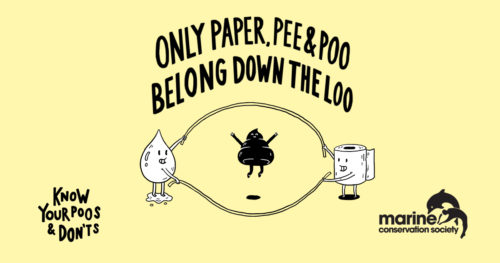 Image saying, "Only Paper, Pee & Poo Belong Down The Loo".
