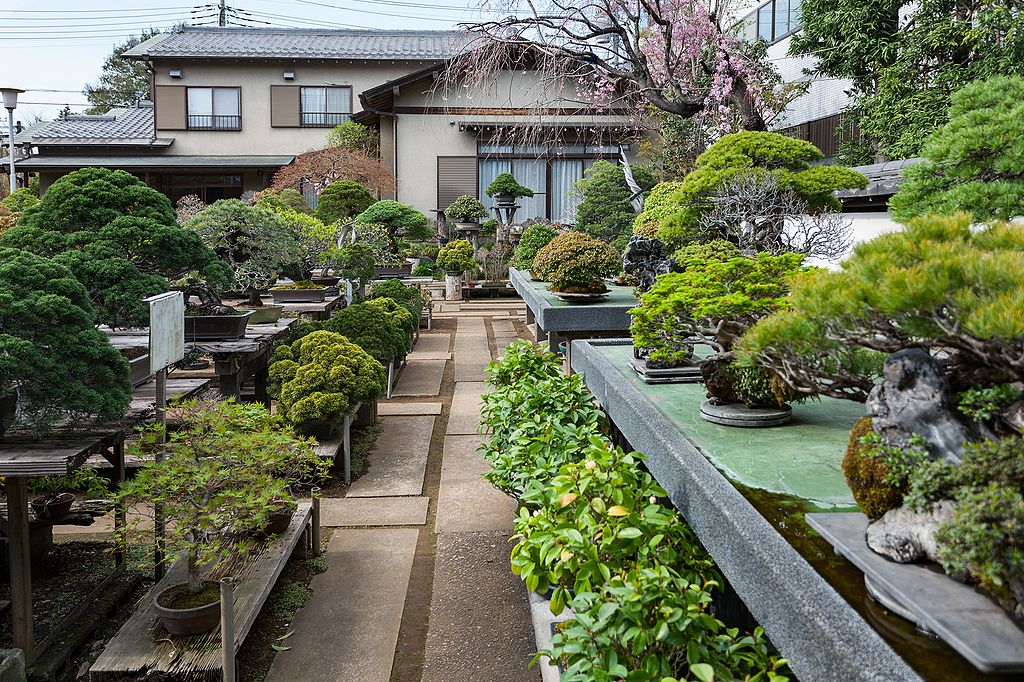 Bonsai Nursery Fuyo-en (jap. 芙蓉園)