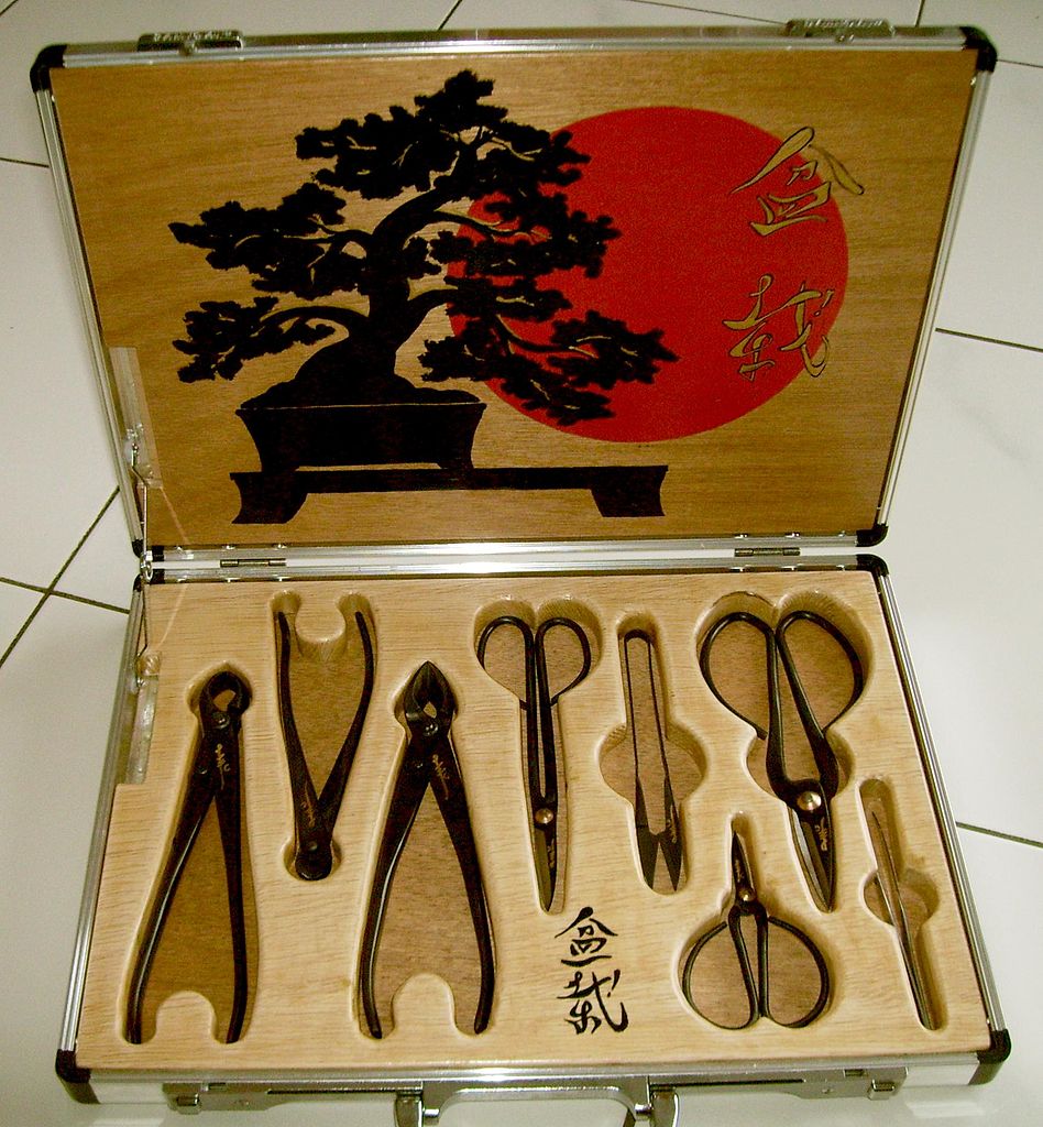 Special tools for working with bonsai trees.