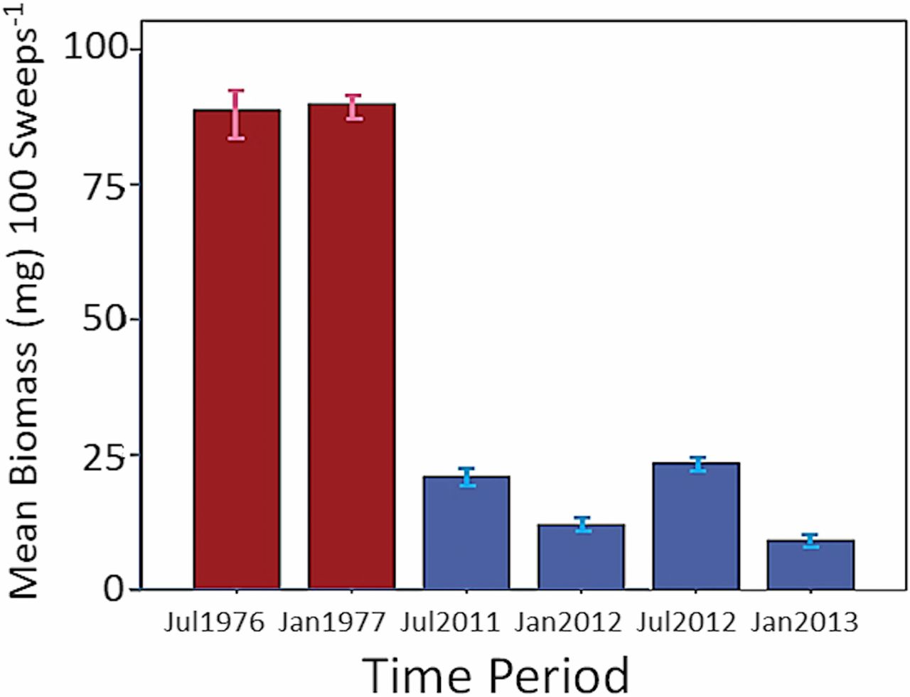 Graph showing drop in arthropod biomass in Luquillo rainforest from 1976-2013.