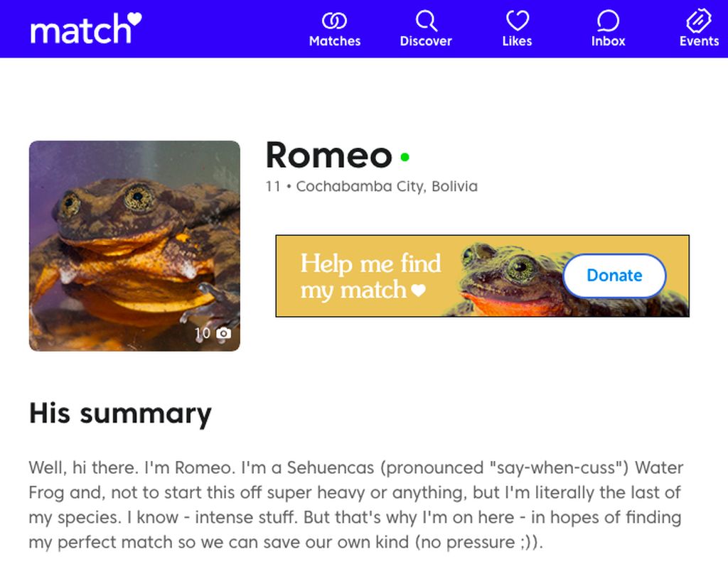 Screenshot of Romeo's match.com profile.