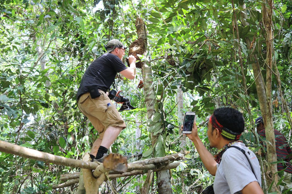 Iswan films natural history photographer Clay Bolt photographing the rediscovered Megachile pluto in her nest. (Last name redacted to protect the privacy of the guide and the bee’s known location).