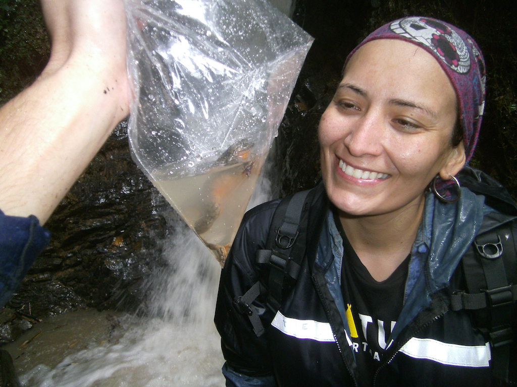 Dr. Camacho Badani looks at a Sehuencas frog found in a stream.