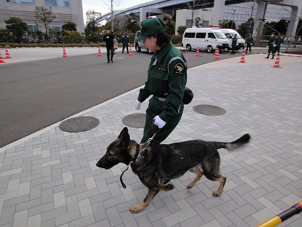 Police Dog in Tokyo, Japan