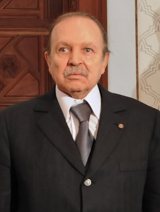 Abdelaziz Bouteflika, 2008