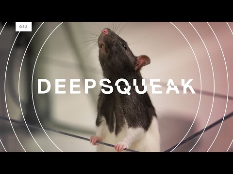 Mouse with sound waves drawn around it and the word DEEPSQUEAK superimposed.