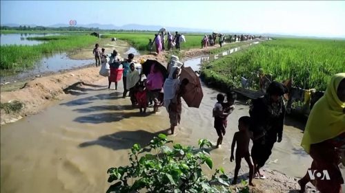 Rohingya refugees entering Bangladesh after being driven out of Myanmar, 2017