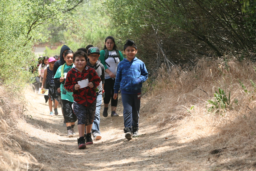 Kids hiking the Medea Creek Trail