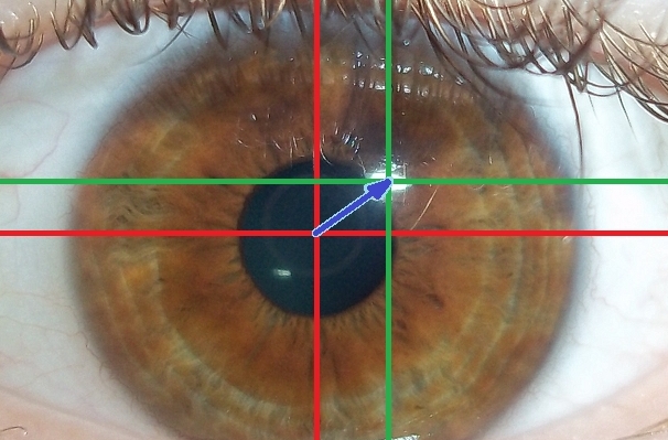 Eye-tracking algorithm using visible light (passive light) with center of iris (red), glint (green), the output vector (blue)