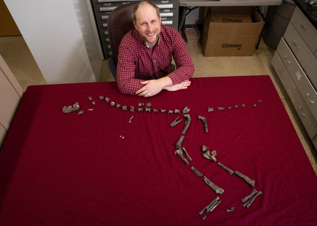 Sterling Nesbitt and fossil remains of Suskityrannus hazelae, which he found at age 16 in 1998.