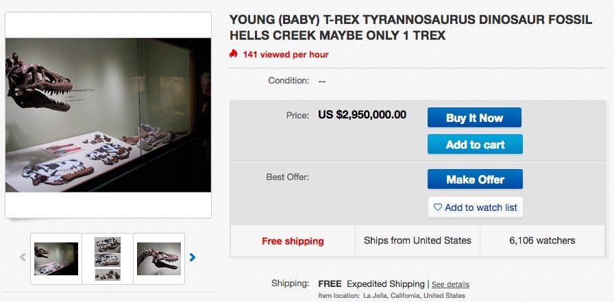 Screenshot of eBay listing for a T. Rex auction