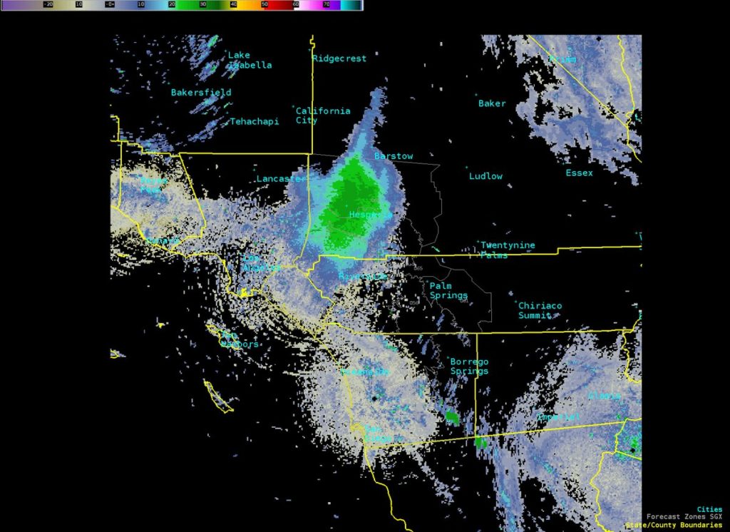 Weather radar image of a massive cloud of migrating ladybugs.