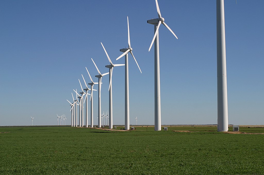 The Brazos Wind Farm, also known as the Green Mountain Energy Wind Farm, near Fluvanna, Texas. Note cattle grazing beneath the turbines.