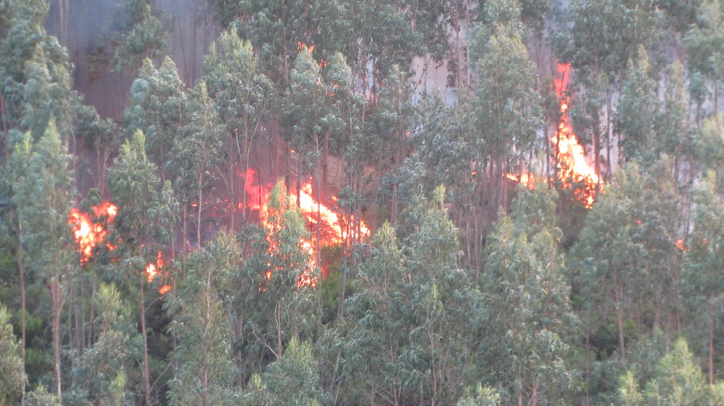 Portugal wildfires - fire spreading