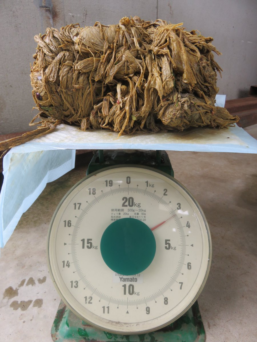 3.2 kilograms that came from a deer's stomach shown on a scale.