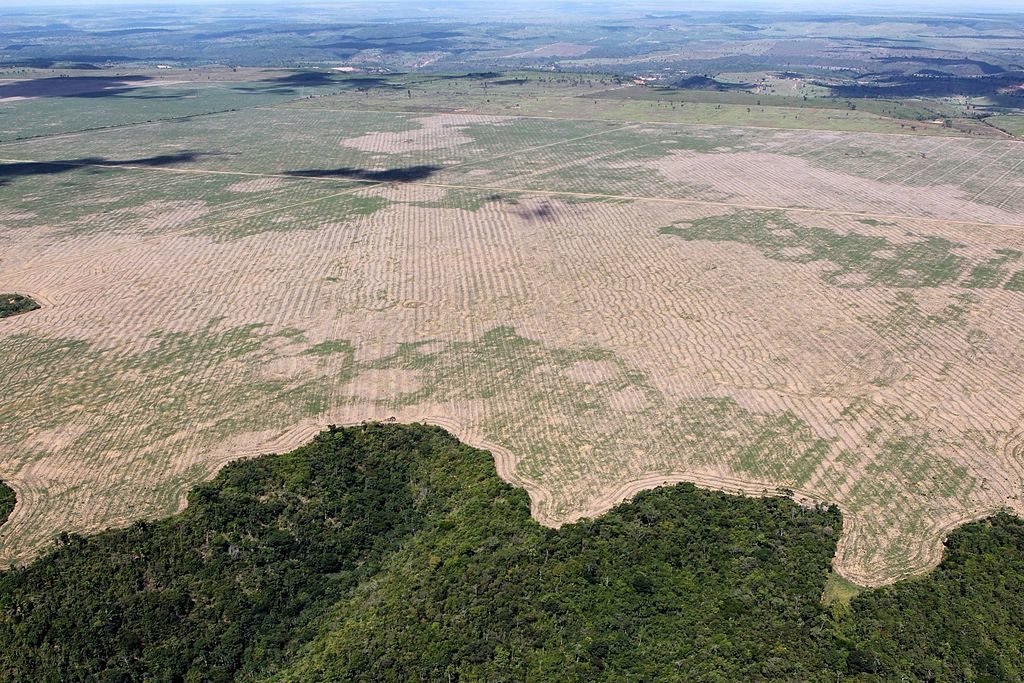 Ibama e Polícia Federal combatem grupo criminoso responsável por extrair e comercializar ilegalmente madeira da Reserva Biológica do Gurupi e das Terras Indígenas Caru e Alto Turiaçu, no Maranhão.