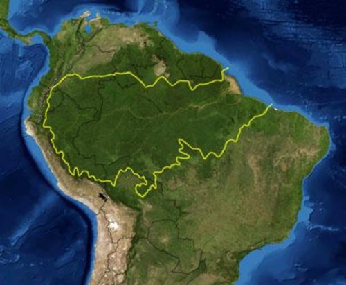 This is a map location of the Amazon Basin. The yellow line encloses Amazon Basin as delineated by the World Wide Fund for Nature. National boundaries are shown in black
