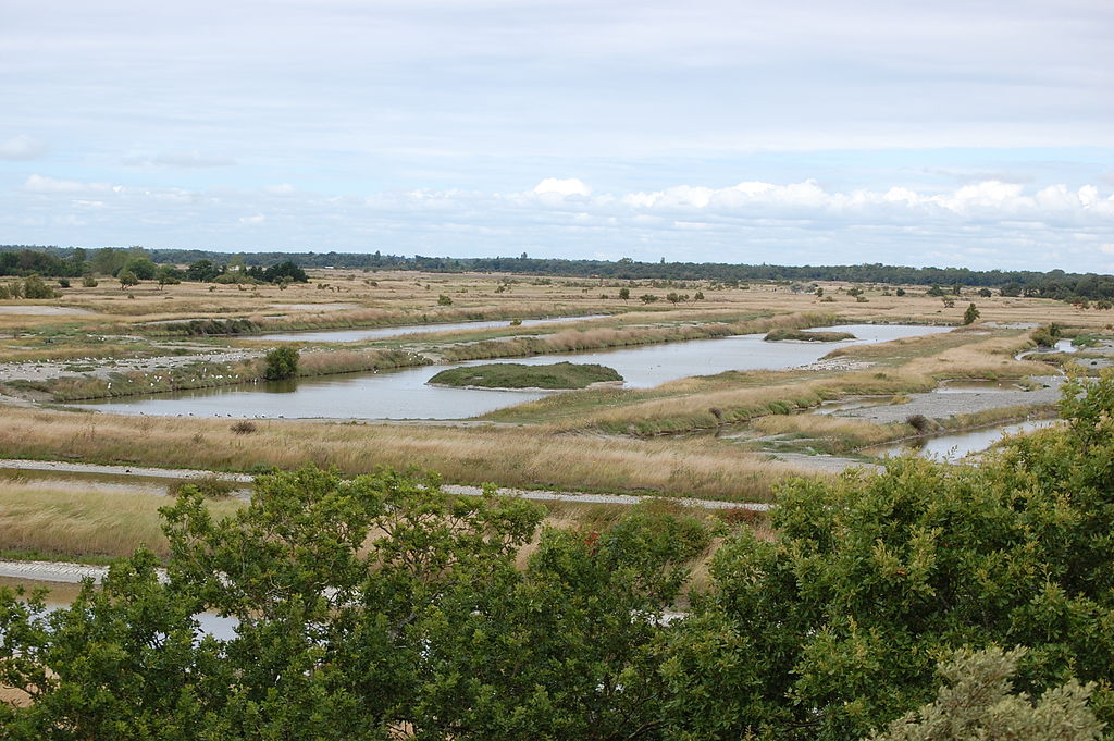 Les marais de Saint-Pierre d'Oléron