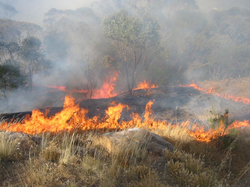 Bush Fire Getting Too Close